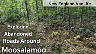 Exploring Abandoned Roads Around Moosalamoo  Chicken Fried Rice For Lunch  New England VanLife [upl. by Hurlow]