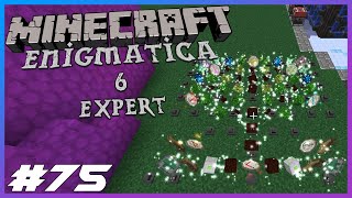 Enigmatica 6 Expert Ep75 Enigmatica Tree Of Life Controller [upl. by Aicargatla]