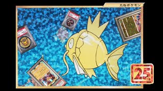 Swimming Through Inventory  PSA 10s Coins and Storage Methods [upl. by Arabelle]