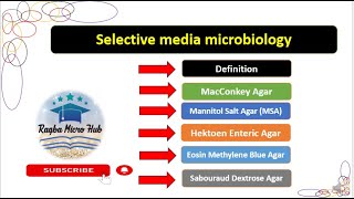 Selective media microbiology culturemedia laboratory microbiology lecture [upl. by Holder]