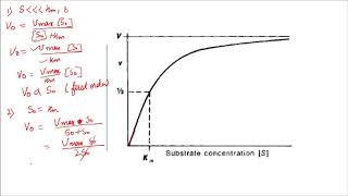 Interpretation of MichaelisMenten graph [upl. by Artemla]