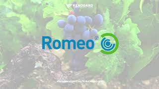 ¿Quieres comprobar los beneficiosde Romeo® en tu viñedo [upl. by Vedette671]