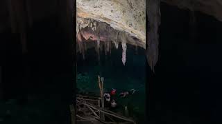 Cave diving in Progresso 🇲🇽 [upl. by Azilem]