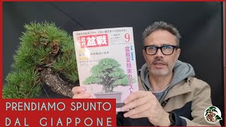 Creare ispirandosi al bonsai del Giappone M° Takashi Iura [upl. by Kieran]