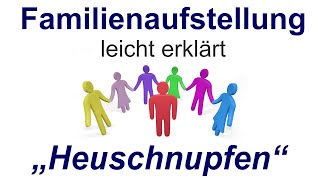 Familienaufstellung einfach erklärt quotHeuschnupfenquot [upl. by Cherey]