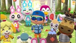 Final Pocket Camp ScrapBook [upl. by Israel]