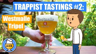 Westmalle Tripel Beer Tasting amp Review Trappist Tasting 2 [upl. by Ilojne]