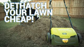 One TOOL to Drastrically Improve Your Lawn [upl. by Bozuwa467]