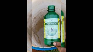 Phosphate solubilizing bacteria iplfert phospahte organicfarming tamilagriculture [upl. by Mureil]