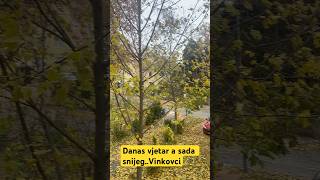 youtube croatia tiktok wind whether vinkovcibalkantiktokinstagramreels reel [upl. by Rawde389]