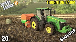 NEW LAND AND HARVEST BEGINS Thornton Farm Timelapse  FS19 Ep 20 [upl. by Rovelli]