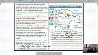 svt immunologie mise en evidence dlimmunité specifique humorale [upl. by Nogam56]