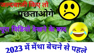 मेंथा तेल का रेट कब बढ़ता है mentha oil rate kab badega 2023 [upl. by Adnilreh280]