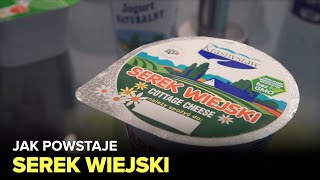 Jak powstaje serek wiejski i jogurt  Fabryki w Polsce [upl. by Nalra]