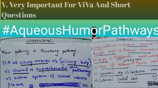 Eye  Aqueous Humor Pathway Made Very Easy [upl. by Ahsiloc]