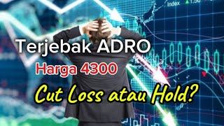 Terjebak Saham ADRO di Harga 4300 apa yang harus dilakukan [upl. by Nrek660]