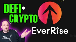 EVERRISE RISE CRYPTO DEFI PROJECT REVIEW [upl. by Gustav836]