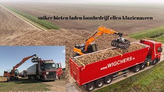 suikerbieten laden loonbedrijf ellen nieuwe develon DX170W7 deel 2 oost Groningen farmers 4k [upl. by Liahcim]