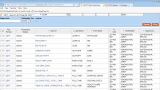 Timekeeper Timesheet Profile [upl. by Mavra]