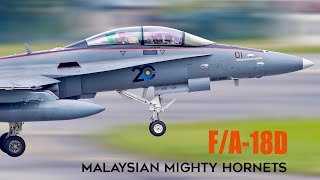 FA18D Malaysia The Mighty Hornets After Being Upgraded [upl. by Mal]