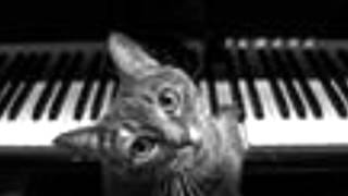 Frank Mills  Kitty On The Keys [upl. by Gherardi592]