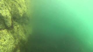 Wrasse Fishing with Underwater Camera Footage at Holyhead Breakwater Wales UK part 1 of 3 [upl. by Moran]