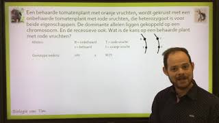 Biologie van Tim  Gekoppelde overerving [upl. by Thisbe644]