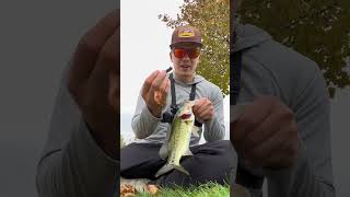 Bass fishing with my pen fishing [upl. by Ydisac]