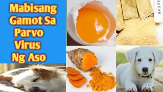 MABISANG GAMOT SA PARVO VIRUS NG ASO  HOME REMEDY  HOW TO TREAT PARVO IN DOG [upl. by Elocal267]