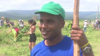 Apoyan jóvenes holguineros producción de alimentos en campamentos de verano [upl. by Gisella]