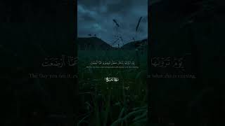 quranrecitation bestrecitationofsurahewaqiah hafidh shaikh qazi [upl. by Salas]