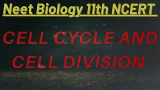 Cell Cycle And Call Division PART2 study with tripti ncerthighlights [upl. by Noicnecsa]