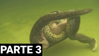 ATAQUES DE ANACONDAS EM HUMANOS PARTE 3 [upl. by Otrebireh]