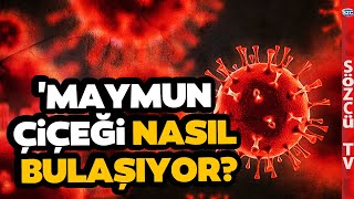 Maymun Çiçeği Virüsü Yayılıyor Uzman İsim Virüse Karşı Yapılması Gerekenleri Anlattı [upl. by Clovah]