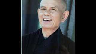 Thich Hhat Hanh 2016  Mindfulness  Diamond Sutra  August Altruism And Charity [upl. by Ioves]