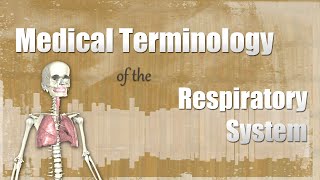 Medical Terminology of the Respiratory System [upl. by Vernor]