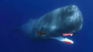 Manipulated Sperm Whale Sound effects 動物 操られたマッコウクジラの声 [upl. by Massingill990]