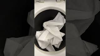 Airplane toilet vs toilet paper [upl. by Kerri678]