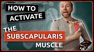 How to ACTIVATE The SUBSCAPULARIS Muscle [upl. by Nilerual]