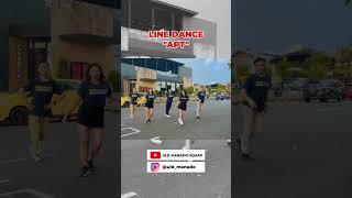 APT  LINE DANCE linedance apt linedanceindonesia dancechallenge [upl. by Adalheid]