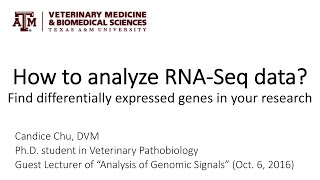 How to analyze RNASeq data Find differentially expressed genes in your research [upl. by Free]