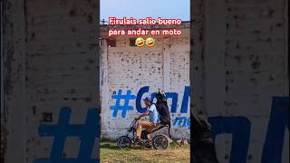 Firulais salió bueno para andar en moto🤣🤣 [upl. by Annice]