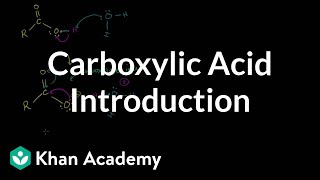 Carboxylic acid introduction  Carboxylic acids and derivatives  Organic chemistry  Khan Academy [upl. by Frank623]