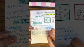 Connective Tissue Proper Drawing Template  BIOL 212 [upl. by Seve]