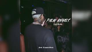 quotPalm Angelsquot  Chris Brown Type Beat  NEW 2024 Prod TrappsterBeats [upl. by Joell568]