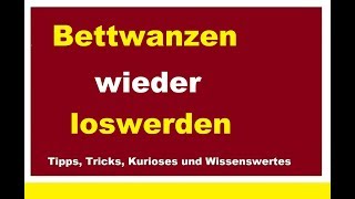 Bettwanzen wieder loswerden Wanzen bekämpfen Woher kommen Hauswanzen Erkennen Bekämpfung Was tun [upl. by Butch]