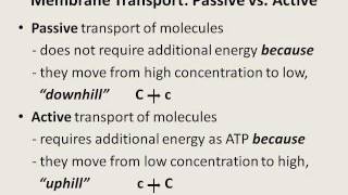 Membrane Transport  Diffusion Osmosis Filtration Phagocytosis etc [upl. by Chlo936]