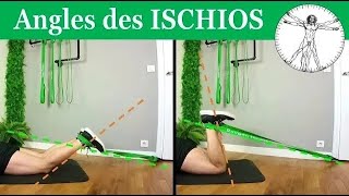 ISCHIOSJAMBIERS Anatomie  Devenez ATHLETIQUE  🏃‍♂️🔥avec élastique [upl. by Peggy427]