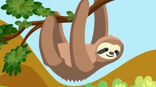 SLOTH  interesting facts about sloth for kids [upl. by Noremmac]