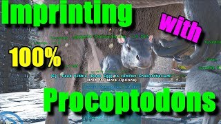 Ark Imprinting with Procoptodons Easy Breeding and Baby Raising Tricks [upl. by Erika]